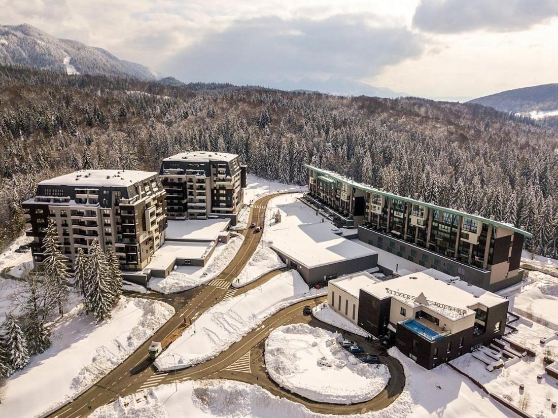 Twin Studio Silver Mountain Пояна-Брашов Екстер'єр фото
