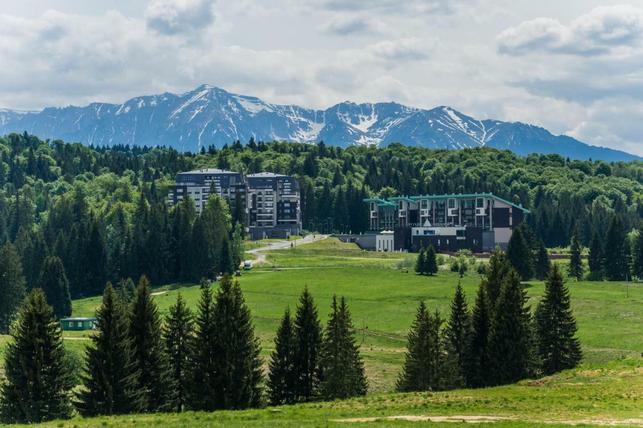 Twin Studio Silver Mountain Пояна-Брашов Екстер'єр фото