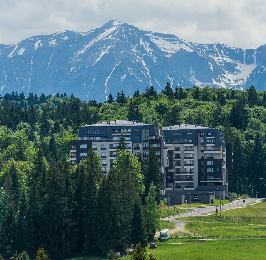 Twin Studio Silver Mountain Пояна-Брашов Екстер'єр фото