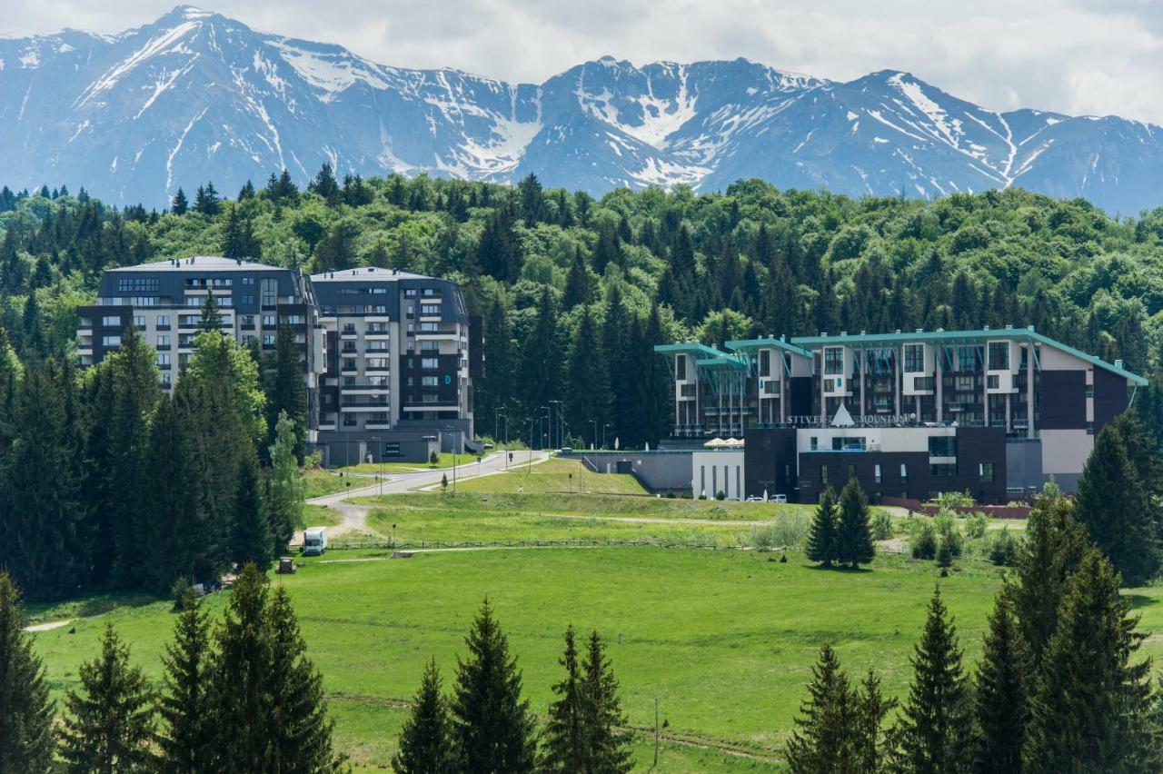 Twin Studio Silver Mountain Пояна-Брашов Екстер'єр фото